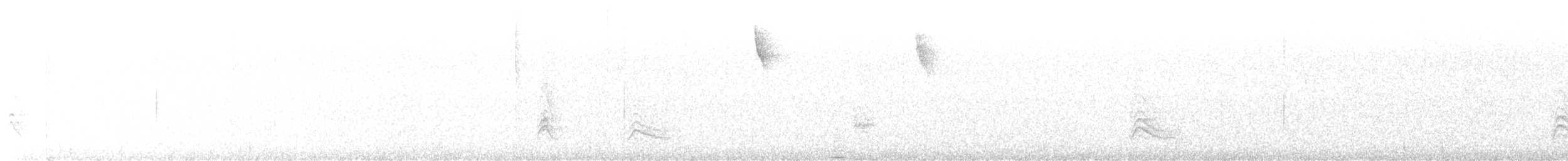Черношапочная пальмагра - ML524570301