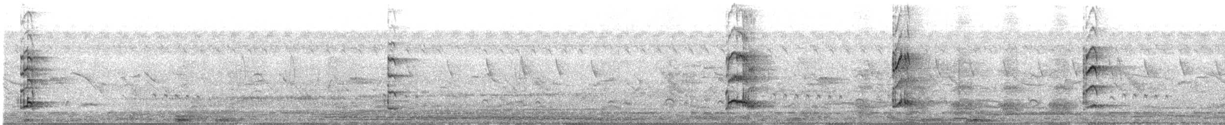 פורפיריה אפורת-ראש - ML524697281