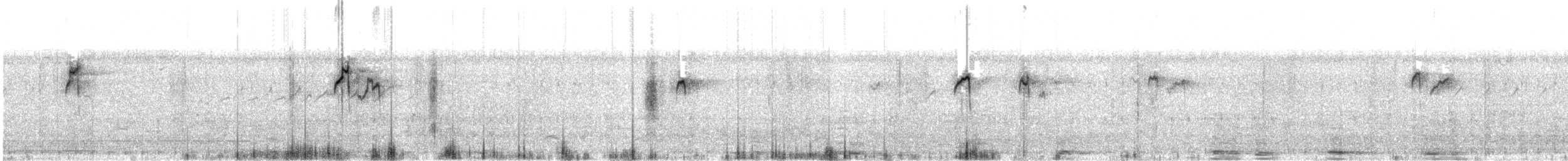 חרטומית חדת-זנב - ML524706431