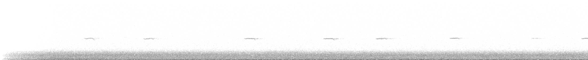 Common Chiffchaff (Siberian) - ML524715881