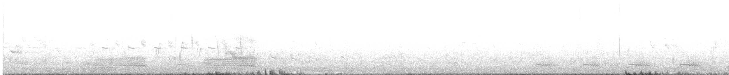Широкохвістка середземноморська - ML524716161