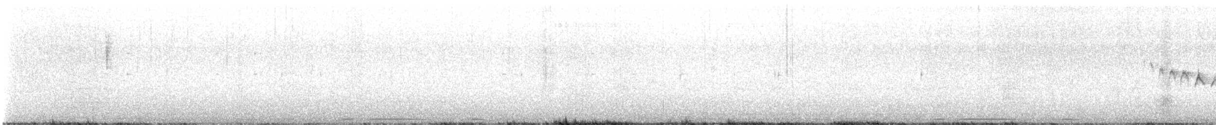 Каньонный крапивник - ML524816081