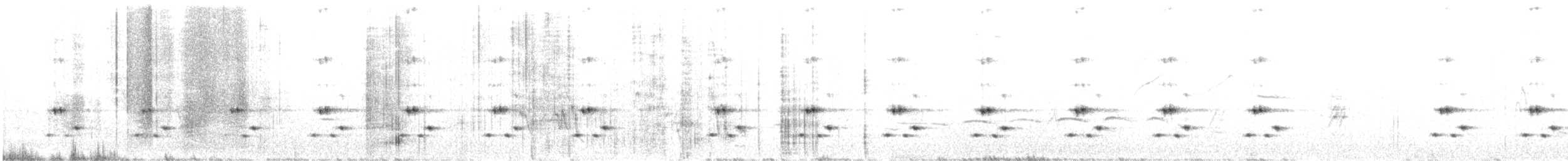 Пёстрая зебрина - ML524819121