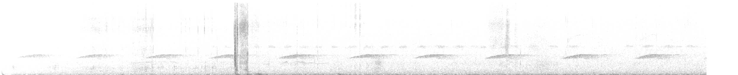 Little Spotted Kiwi - ML524852001