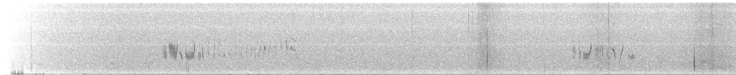 Kara Kulaklı Kuyrukkakan - ML524862341