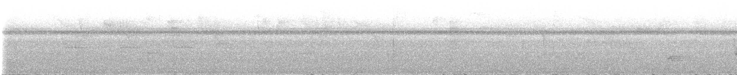 Baird's Trogon - ML524864671
