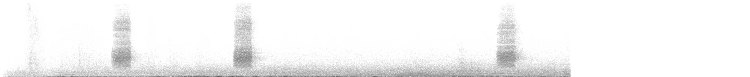 Geai à gorge blanche - ML524912271