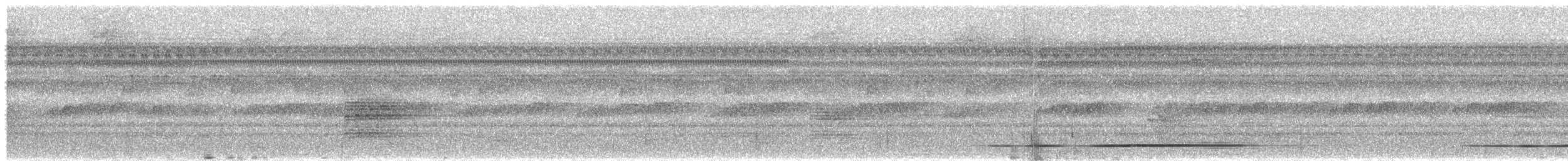 Tinamou à gorge blanche - ML524933291