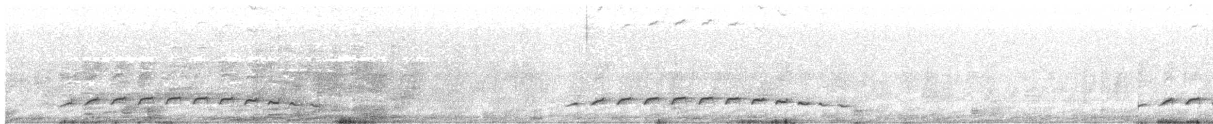 Fleckenbrust-Ameisenvogel - ML524935801