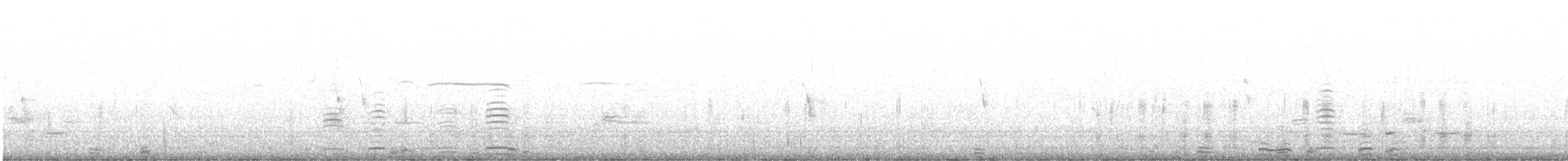Cisne Trompetero - ML524976191