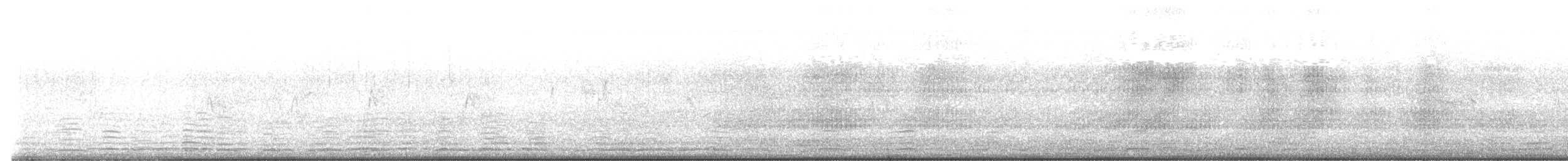 Cisne Trompetero - ML524984391