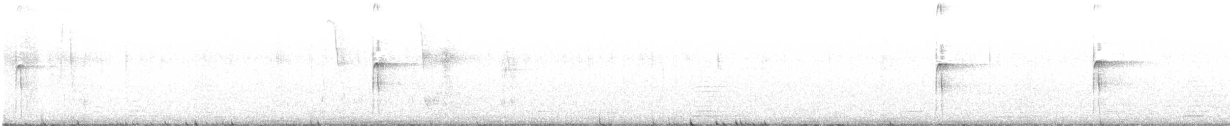 strakapoud americký - ML524985541