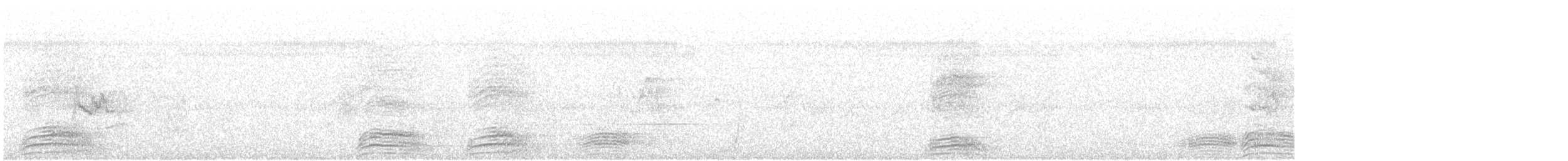Исполинский коэль - ML52501891