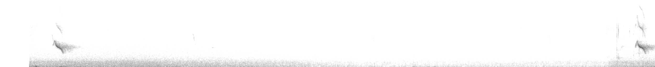 dlask žlutočelý - ML525083941