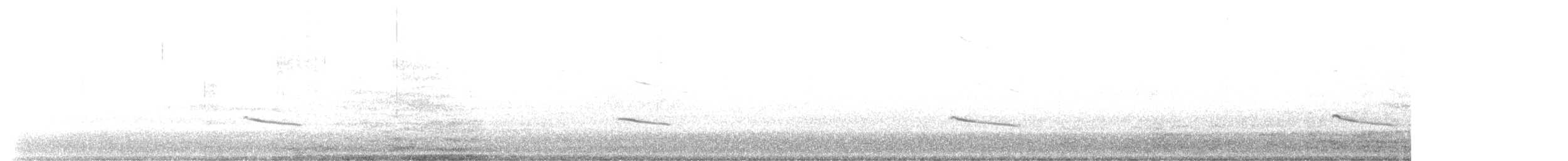 Zimtbauch-Phoebetyrann - ML525101051