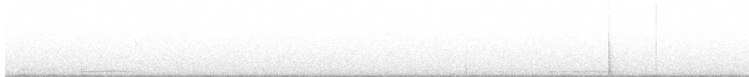 puštík obecný - ML525105101