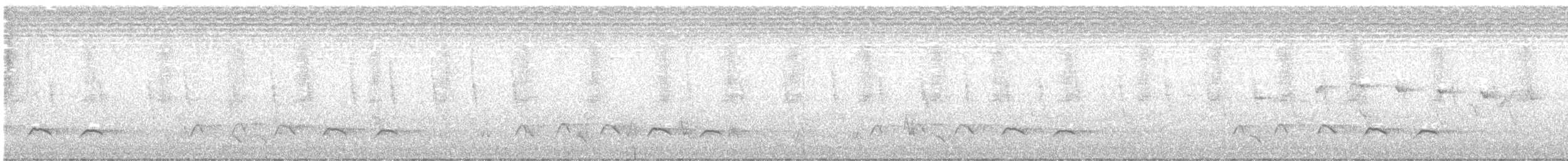Barred Long-tailed Cuckoo - ML525111521