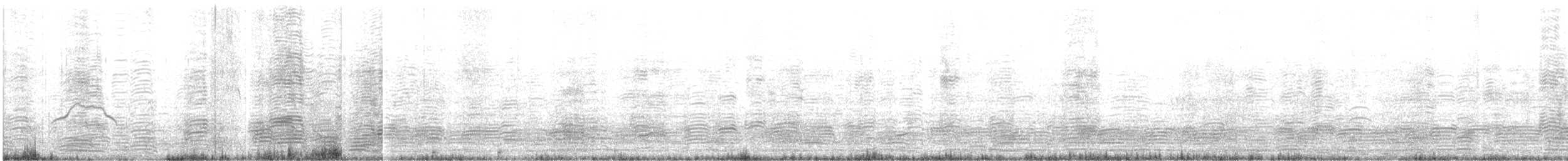 Bar-headed Goose - ML525135831