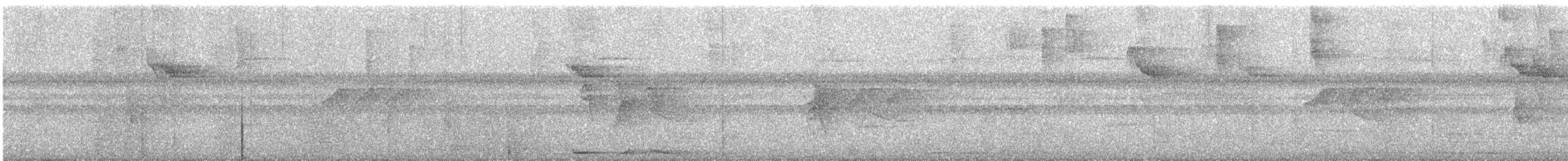 Тиран-карлик амазонійський - ML525139811