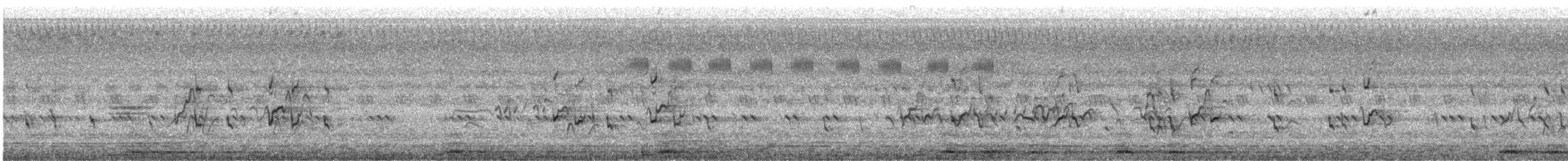 Dendrocygne siffleur - ML525154611
