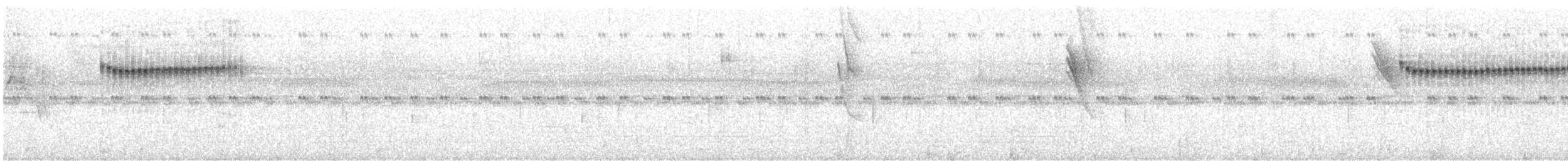 Perlenbrust-Zwergspecht - ML525166331