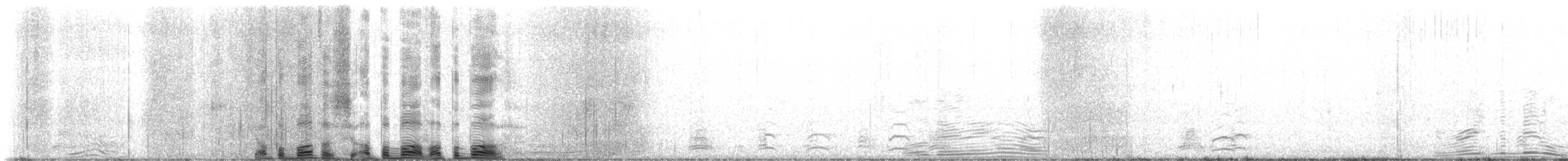 אווז שלג - ML525182211
