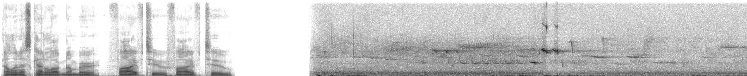 Picchion cramoisi - ML5252