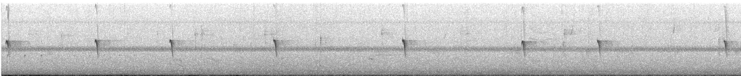 Светлобрюхий фиби - ML525203211