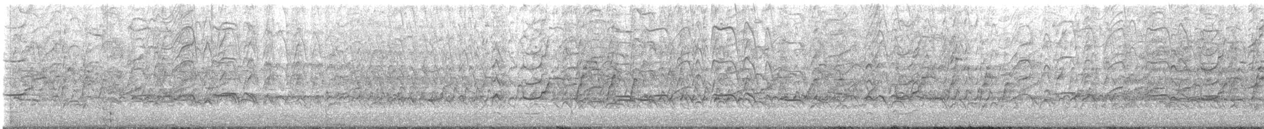 Kara Karınlı Islıkçı Ördek - ML525203431