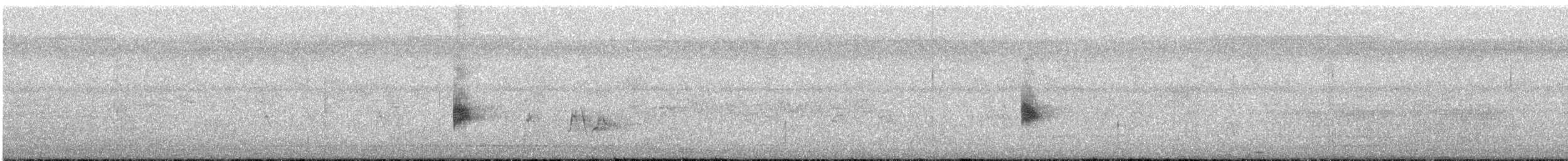 Белобровый сорокопут - ML525210991