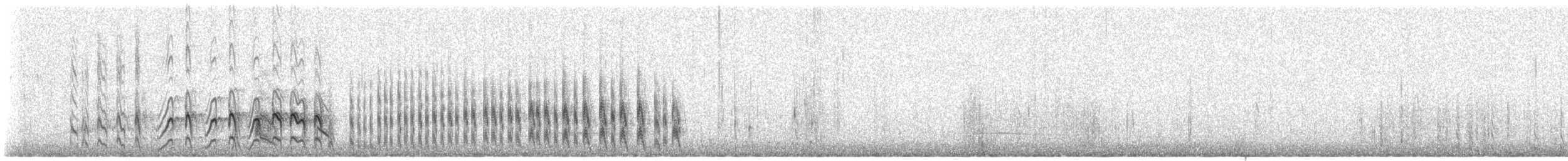 ארנריה אדמונית - ML525240211