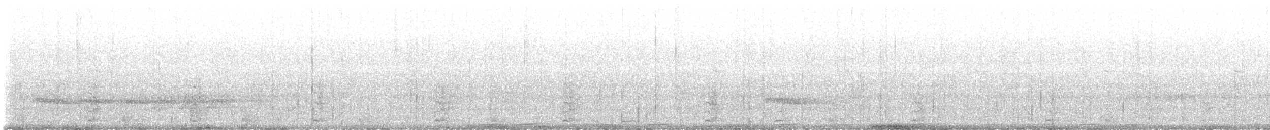 Каштановый скрытохвост - ML525244311