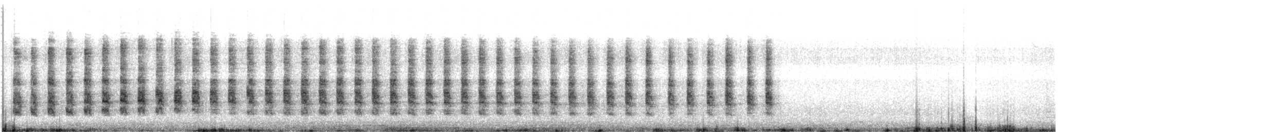 chřástal aztécký - ML525245511