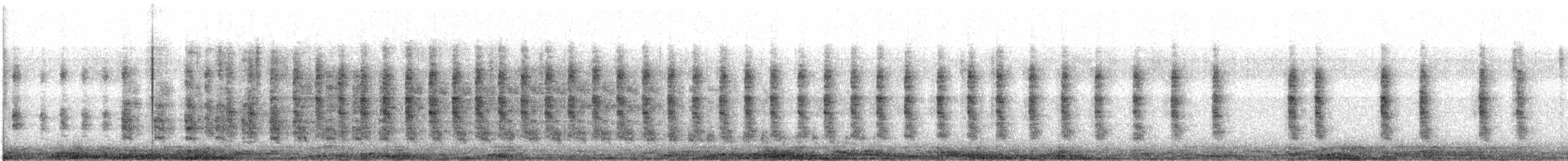 chřástal aztécký - ML525252691