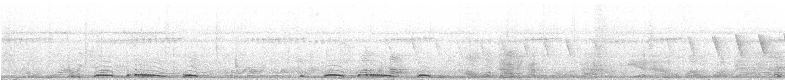 珠頸斑鳩(chinensis/tigrina) - ML52525721