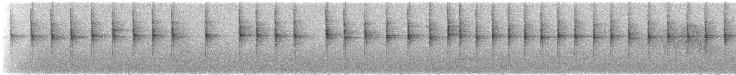 kolibřík ametystohrdlý (ssp. margaritae) - ML525268081