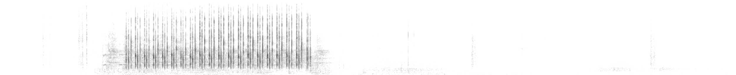 einerskrike (woodhouseii gr.) - ML52528701