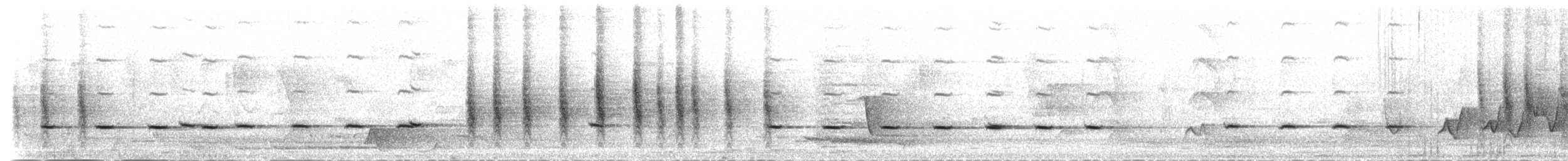 Goldbauchschnäpper - ML52531971