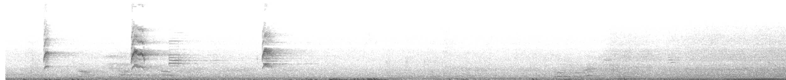 straka ostroocasá - ML525323011