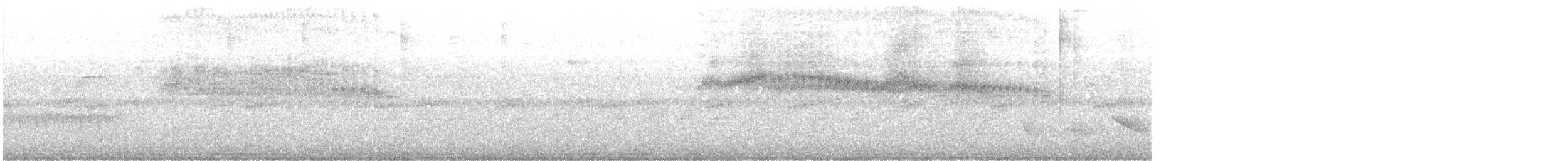 カタジロアマツバメ - ML525339171