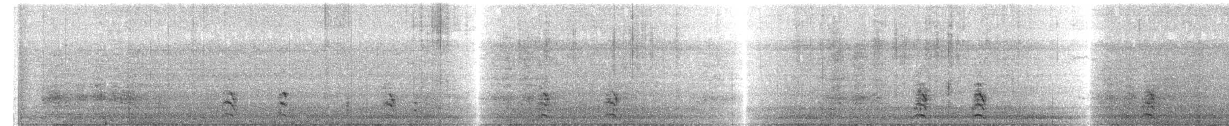 短耳鴞(flammeus) - ML525378691