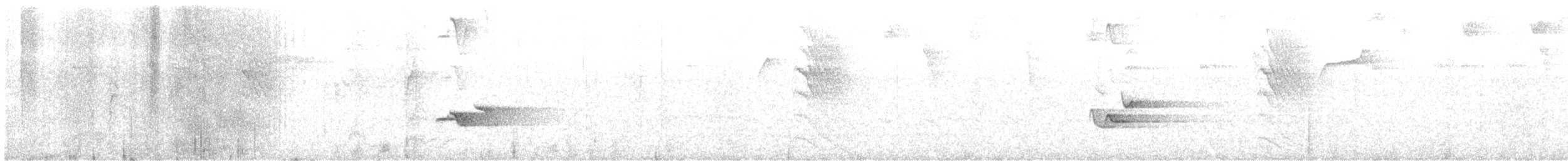 Hochland-Ameisenschlüpfer - ML525388381