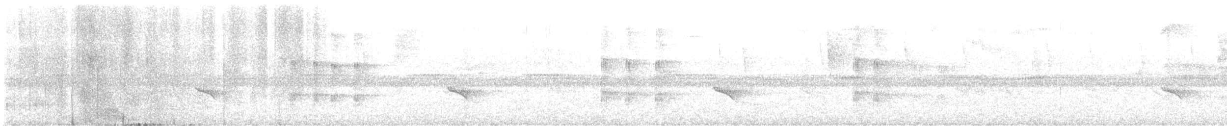 Тиранчик-чубань західний - ML525397701