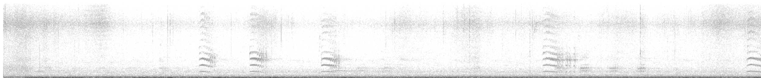 Weißbrustkleiber - ML525400551