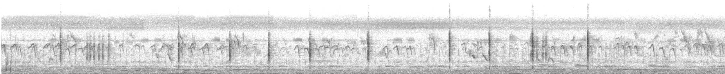 Өмнөдийн охил бялзуухай - ML525419961