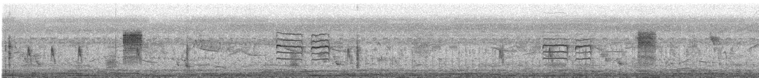 Ashy Prinia - ML525420041