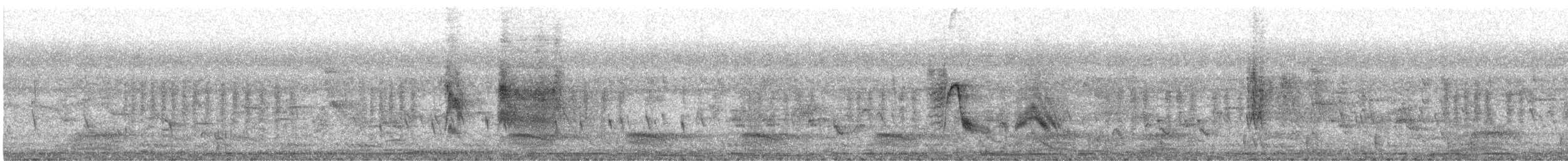 Brahminy Starling - ML525420201