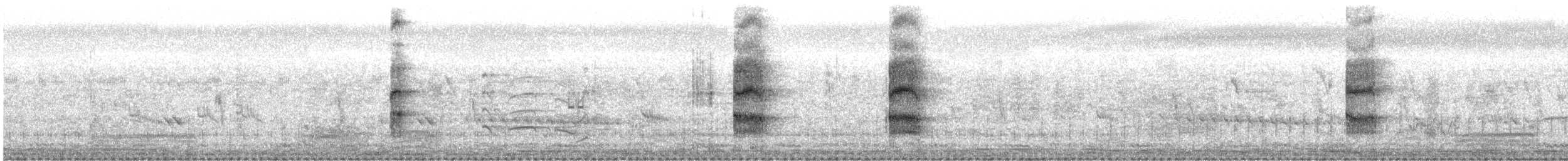 Цагаан шанаат хараалай - ML525420371