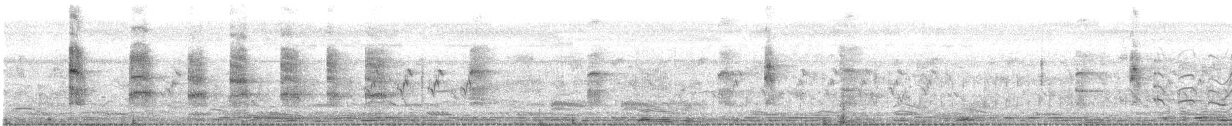 Цагаан шанаат хараалай - ML525420431