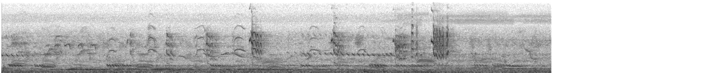 Pied Kingfisher - ML525420471